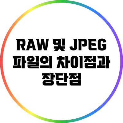 RAW 및 JPEG 파일의 차이점과 장단점