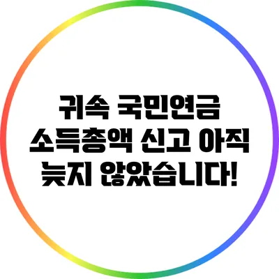 귀속 국민연금 소득총액 신고: 아직 늦지 않았습니다!