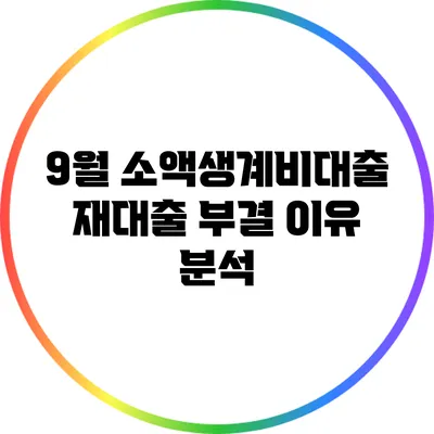 9월 소액생계비대출 재대출 부결 이유 분석