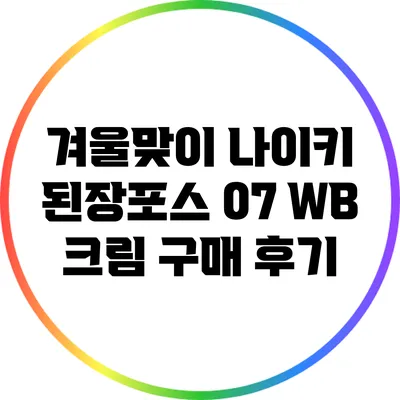 겨울맞이 나이키 된장포스 07 WB 크림 구매 후기