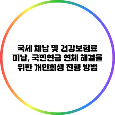 국세 체납 및 건강보험료 미납, 국민연금 연체 해결을 위한 개인회생 진행 방법
