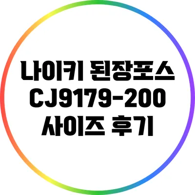 나이키 된장포스 CJ9179-200 사이즈 후기