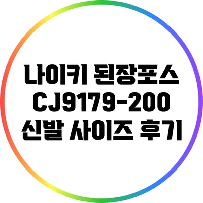 나이키 된장포스 CJ9179-200 신발 사이즈 후기