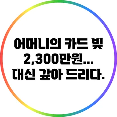 어머니의 카드 빚 2,300만원... 대신 갚아 드리다.