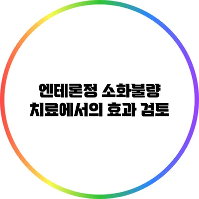 엔테론정 소화불량 치료에서의 효과 검토