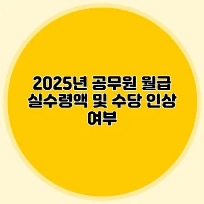 2025년 공무원 월급 실수령액 및 수당 인상 여부