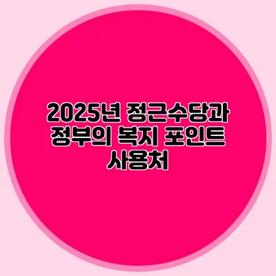 2025년 정근수당과 정부의 복지 포인트 사용처
