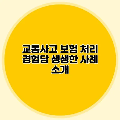 교통사고 보험 처리 경험담 생생한 사례 소개