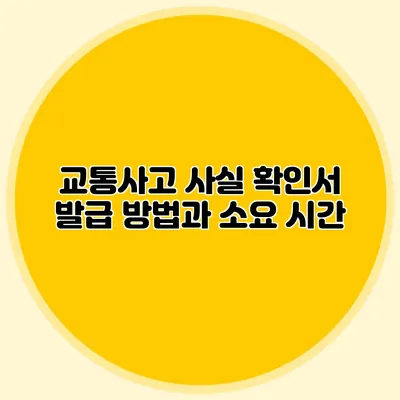 교통사고 사실 확인서 발급 방법과 소요 시간