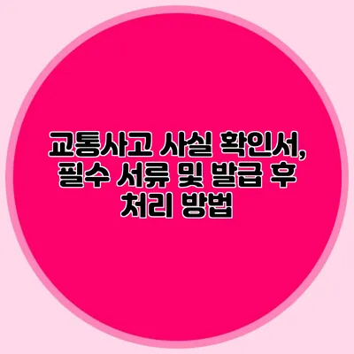 교통사고 사실 확인서, 필수 서류 및 발급 후 처리 방법