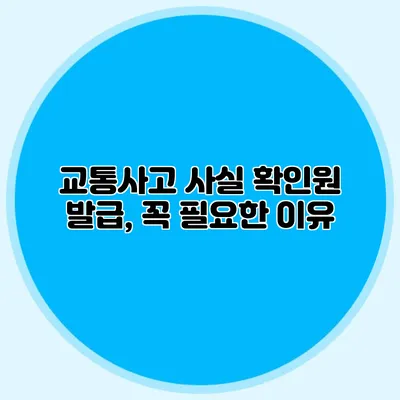 교통사고 사실 확인원 발급, 꼭 필요한 이유