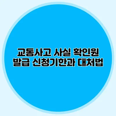 교통사고 사실 확인원 발급 신청기한과 대처법