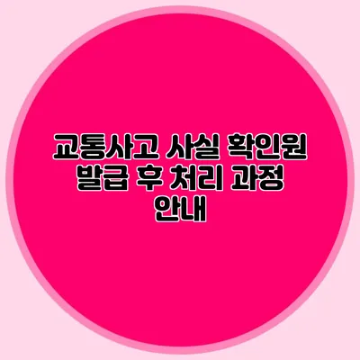 교통사고 사실 확인원 발급 후 처리 과정 안내