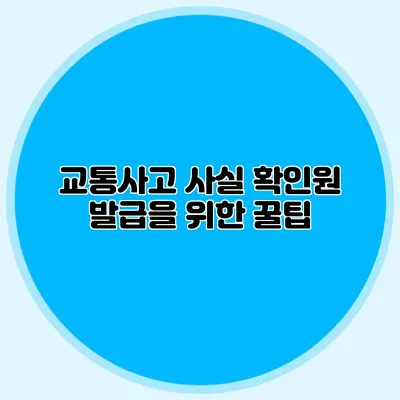 교통사고 사실 확인원 발급을 위한 꿀팁