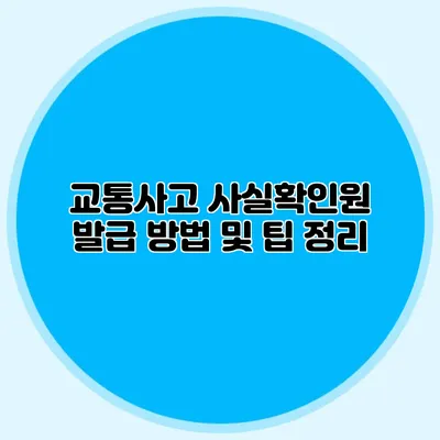 교통사고 사실확인원 발급 방법 및 팁 정리