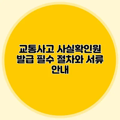 교통사고 사실확인원 발급 필수 절차와 서류 안내
