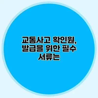 교통사고 확인원, 발급을 위한 필수 서류는?