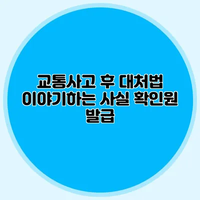 교통사고 후 대처법 이야기하는 사실 확인원 발급