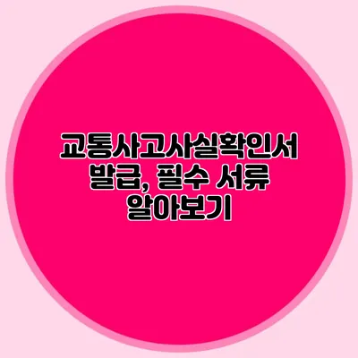 교통사고사실확인서 발급, 필수 서류 알아보기