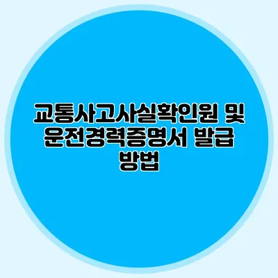 교통사고사실확인원 및 운전경력증명서 발급 방법