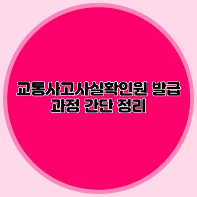 교통사고사실확인원 발급 과정 간단 정리