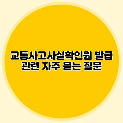 교통사고사실확인원 발급 관련 자주 묻는 질문