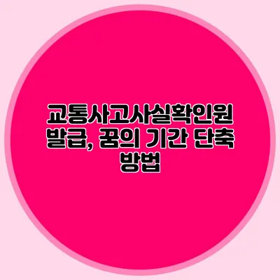 교통사고사실확인원 발급, 꿈의 기간 단축 방법