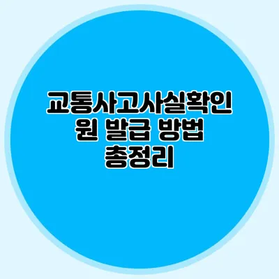 교통사고사실확인원 발급 방법 총정리