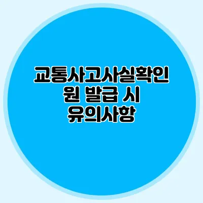 교통사고사실확인원 발급 시 유의사항