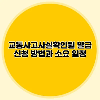 교통사고사실확인원 발급 신청 방법과 소요 일정