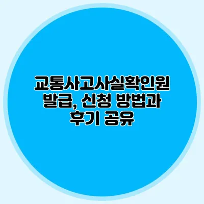 교통사고사실확인원 발급, 신청 방법과 후기 공유