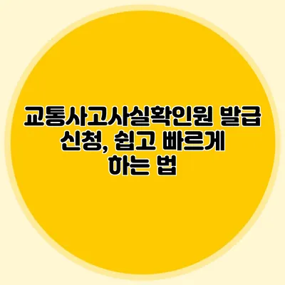 교통사고사실확인원 발급 신청, 쉽고 빠르게 하는 법