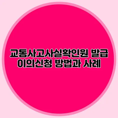 교통사고사실확인원 발급 이의신청 방법과 사례