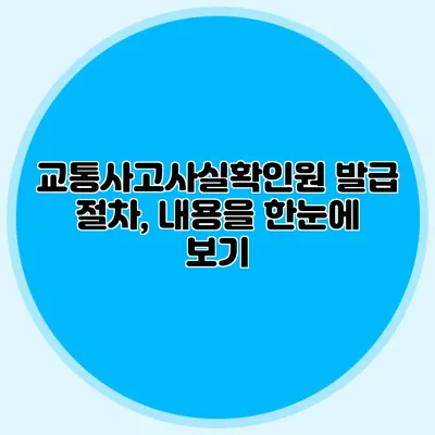 교통사고사실확인원 발급 절차, 내용을 한눈에 보기