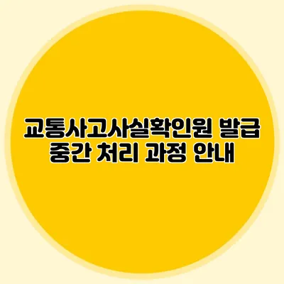 교통사고사실확인원 발급 중간 처리 과정 안내