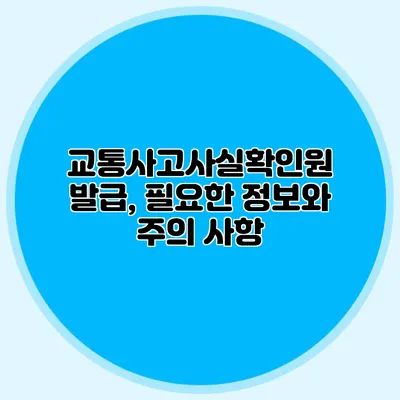 교통사고사실확인원 발급, 필요한 정보와 주의 사항