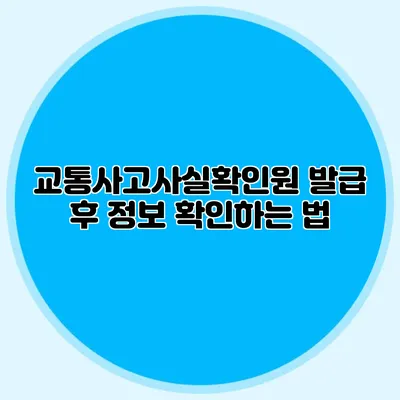교통사고사실확인원 발급 후 정보 확인하는 법
