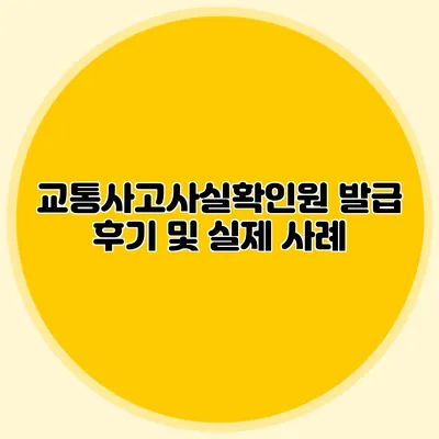 교통사고사실확인원 발급 후기 및 실제 사례