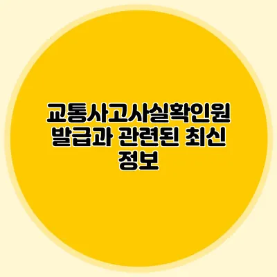 교통사고사실확인원 발급과 관련된 최신 정보