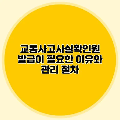 교통사고사실확인원 발급이 필요한 이유와 관리 절차