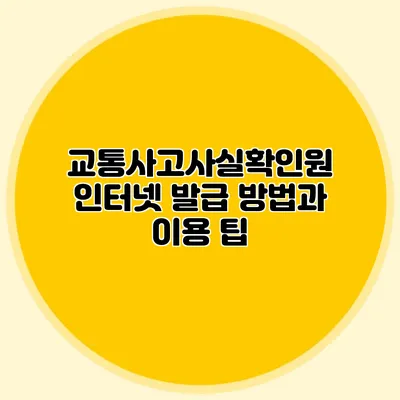 교통사고사실확인원 인터넷 발급 방법과 이용 팁
