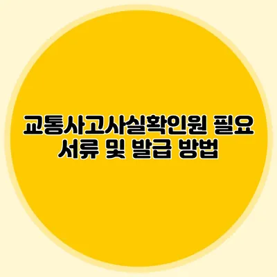 교통사고사실확인원 필요 서류 및 발급 방법