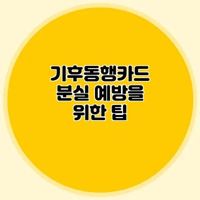 기후동행카드 분실 예방을 위한 팁