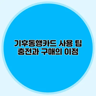 기후동행카드 사용 팁 충전과 구매의 이점