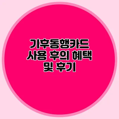 기후동행카드 사용 후의 혜택 및 후기