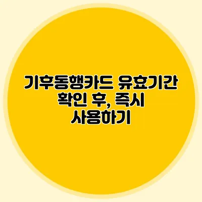 기후동행카드 유효기간 확인 후, 즉시 사용하기