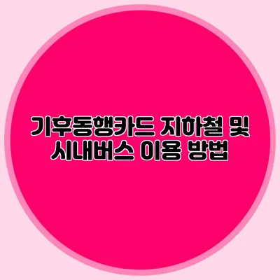 기후동행카드 지하철 및 시내버스 이용 방법