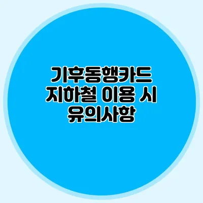 기후동행카드 지하철 이용 시 유의사항