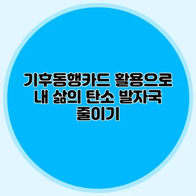 기후동행카드 활용으로 내 삶의 탄소 발자국 줄이기