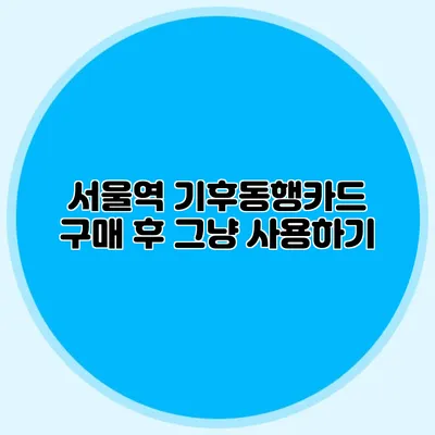 서울역 기후동행카드 구매 후 그냥 사용하기